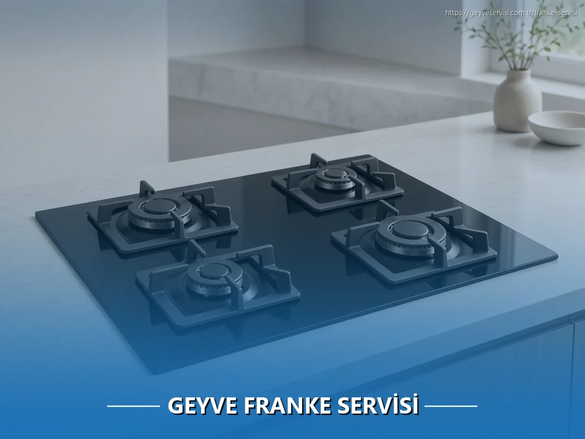 Geyve Franke Servisi